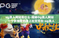 og真人网站是什么-揭秘Og真人网站，一个多维度的线上社交平台-og真人网站是什么