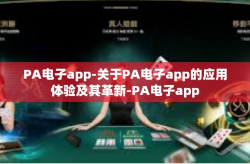 PA电子app-关于PA电子app的应用体验及其革新-PA电子app