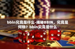 bbin究竟是什么-揭秘BBIN,究竟是何物?bbin究竟是什么